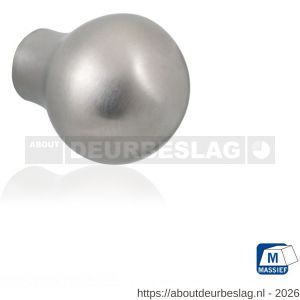 GPF Bouwbeslag RVS GPF5530.25 meubelknop rond 25 mm hoogte 33 mm RVS geborsteld - R21005381 - afbeelding 1