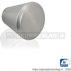 GPF Bouwbeslag RVS GPF5545.25 meubelknop rond 25 mm hoogte 24 mm RVS geborsteld - R21005390 - afbeelding 1
