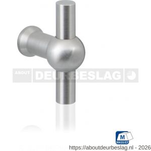GPF Bouwbeslag RVS GPF5565.35 meubelknop Hipi 9 mm hoogte 35 mm RVS geborsteld - R21005400 - afbeelding 1