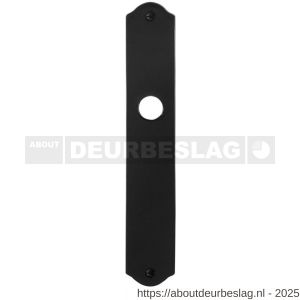 GPF Bouwbeslag Smeedijzer GPF6100.22L/R blind schild gatdeel 238x41x4 mm blind links-rechtsdraaiend smeedijzer zwart - R21004411 - afbeelding 1