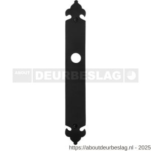 GPF Bouwbeslag Smeedijzer GPF6100.25L/R blind langschild gatdeel 291x41x4 mm blind links-rechtsdraaiend smeedijzer zwart - R21004418 - afbeelding 1