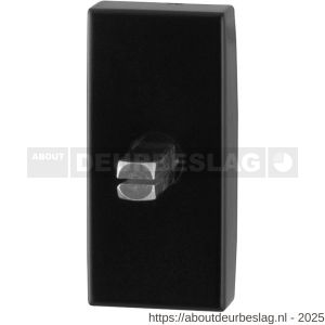 GPF Bouwbeslag Smeedijzer GPF6100.31 draaikiepmechanisme rechthoekig 65x30x12 mm met stift binnenzijde 32 mm smeedijzer zwart - R21003685 - afbeelding 1