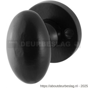 GPF Bouwbeslag Smeedijzer GPF6250.00 Ahau deurknopkruk ovaal op rozet vast - R21003059 - afbeelding 1
