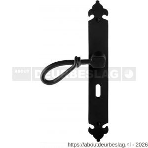 GPF Bouwbeslag Smeedijzer GPF6255.60L BB56 Sula deurkruk gatdeel op langschild 291x41x4 mm linkswijzend smeedijzer zwart - R21009535 - afbeelding 1