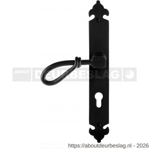 GPF Bouwbeslag Smeedijzer GPF6255.60L PC72 Sula deurkruk gatdeel op langschild 291x41x4 mm linkswijzend smeedijzer zwart - R21009543 - afbeelding 1