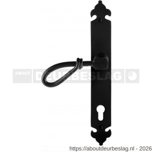 GPF Bouwbeslag Smeedijzer GPF6255.60L PC92 Sula deurkruk gatdeel op langschild 291x41x4 mm linkswijzend smeedijzer zwart - R21009547 - afbeelding 1