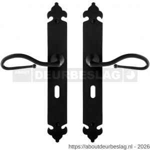 GPF Bouwbeslag Smeedijzer GPF6260.60 BB56 Lumi deurkruk op langschild 291x41x4 mm smeedijzer zwart - R21009549 - afbeelding 1