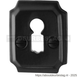 GPF Bouwbeslag Smeedijzer GPF6901.02 sleutelrozet rechthoekig 48x40x6 mm smeedijzer zwart - R21003746 - afbeelding 1