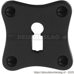 GPF Bouwbeslag Smeedijzer GPF6901.09 sleutelrozet klassiek 52x52x4 mm smeedijzer zwart - R21003750 - afbeelding 1