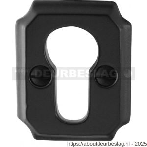 GPF Bouwbeslag Smeedijzer GPF6902.02 cilinderrozet rechthoekig 51x40x6 mm smeedijzer zwart - R21003517 - afbeelding 1