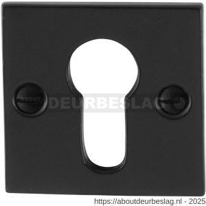 GPF Bouwbeslag Smeedijzer GPF6902.08 cilinderrozet vierkant 52x52x4 mm smeedijzer zwart - R21003520 - afbeelding 1