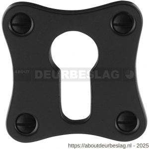 GPF Bouwbeslag Smeedijzer GPF6902.09 cilinderrozet klassiek vierkant 52x52x5 mm smeedijzer zwart - R21003521 - afbeelding 1
