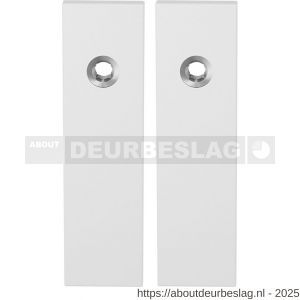GPF Bouwbeslag ZwartWit GPF8100.55 blind kortschild rechthoekig enkelverend 169x46x8,5 mm blind wit - R21006472 - afbeelding 1