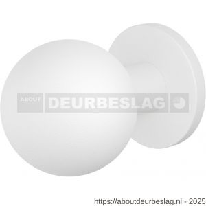 GPF Bouwbeslag ZwartWit GPF8822.62 kogel voordeurknop 63 mm op rozet 63 mm wit - R21000314 - afbeelding 1