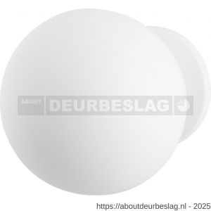 GPF Bouwbeslag ZwartWit GPF8824.62 kogel voordeurknop 100 mm op rozet 70 mm wit - R21007737 - afbeelding 1