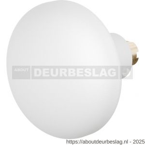 GPF Bouwbeslag ZwartWit GPF8849.62 S5 Paddenstoel deurknop 65 mm voor veiligheids schilden vast met wisselstift wit - R21010497 - afbeelding 1