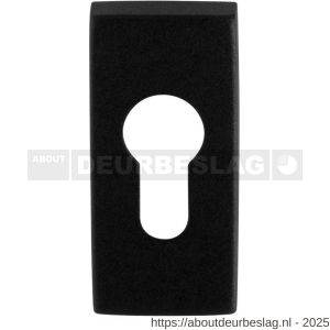 GPF Bouwbeslag ZwartWit GPF8902.01 cilinderrozet rechthoekig 70x32x10 mm zwart - R21008287 - afbeelding 1