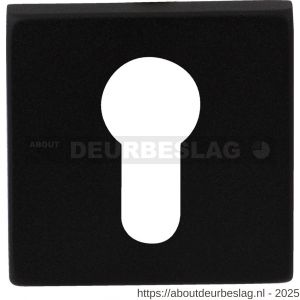 GPF Bouwbeslag ZwartWit GPF8902.02 cilinderrozet vierkant 50x50x8 mm zwart - R21003607 - afbeelding 1