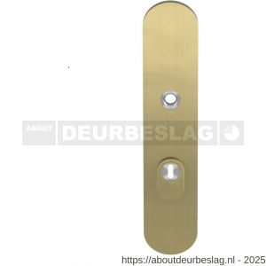 GPF Bouwbeslag PVD GPF9008.72P4 veiligheids buitenschild gatdeel SKG*** 248x52x11 mm afgerond kerntrekbeveiliging PC72 massief PVD mat messing - R21005921 - afbeelding 1