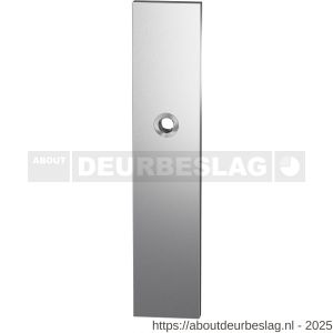 GPF Bouwbeslag RVS GPF9012.00 veiligheids buitenschild gatdeel SKG*** 248x52x11 mm rechthoekig blind met krukgat RVS geborsteld - R21004759 - afbeelding 1