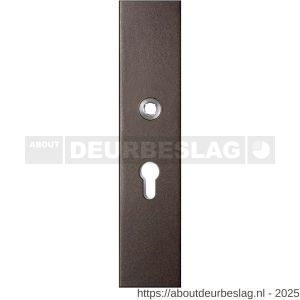 GPF Bouwbeslag Anastasius GPF9012.A1 veiligheids buitenschild gatdeel SKG*** 248x52x11 mm rechthoekig PC55 Dark blend - R21012779 - afbeelding 1