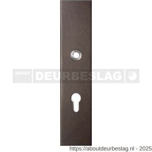GPF Bouwbeslag Anastasius GPF9012.A1 veiligheids buitenschild gatdeel SKG*** 248x52x11 mm rechthoekig PC72 Dark blend - R21012780 - afbeelding 1