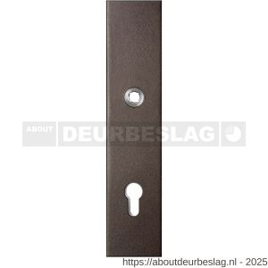 GPF Bouwbeslag Anastasius GPF9012.A1 veiligheids buitenschild gatdeel SKG*** 248x52x11 mm rechthoekig PC92 Dark blend - R21012781 - afbeelding 1