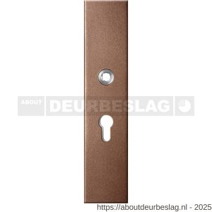 GPF Bouwbeslag Anastasius GPF9012.A2 veiligheids buitenschild gatdeel SKG*** 248x52x11 mm rechthoekig PC55 Bronze blend - R21012782 - afbeelding 1