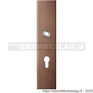 GPF Bouwbeslag Anastasius GPF9012.A2 veiligheids buitenschild gatdeel SKG*** 248x52x11 mm rechthoekig PC72 Bronze blend - R21012783 - afbeelding 1