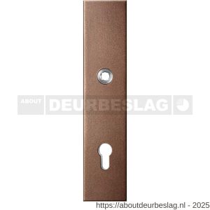 GPF Bouwbeslag Anastasius GPF9012.A2 veiligheids buitenschild gatdeel SKG*** 248x52x11 mm rechthoekig PC92 Bronze blend - R21012784 - afbeelding 1