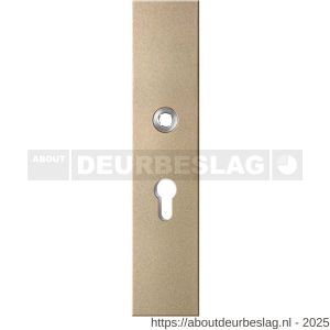 GPF Bouwbeslag Anastasius GPF9012.A4 PC55 veiligheids buitenschild gatdeel SKG*** 248x52x11 mm rechthoekig PC55 Champagne blend - R21012788 - afbeelding 1