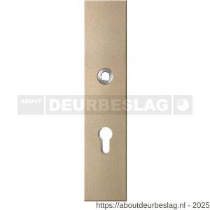 GPF Bouwbeslag Anastasius GPF9012.A4 PC72 veiligheids buitenschild gatdeel SKG*** 248x52x11 mm rechthoekig PC72 Champagne blend - R21012789 - afbeelding 1