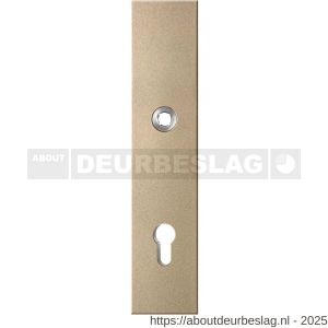 GPF Bouwbeslag Anastasius GPF9012.A4 PC92 veiligheids buitenschild gatdeel SKG*** 248x52x11 mm rechthoekig PC92 Champagne blend - R21012790 - afbeelding 1