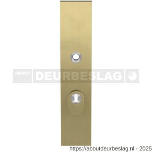 GPF Bouwbeslag PVD GPF9018.72P4 veiligheids buitenschild gatdeel SKG*** 248x52x11 mm rechthoekig kerntrekbeveiliging PC72 massief PVD mat messing - R21005925 - afbeelding 1