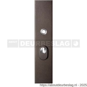GPF Bouwbeslag Anastasius GPF9018.A1 PC55 veiligheids buitenschild gatdeel SKG*** 248x52x11 mm rechthoekig kerntrekbeveiliging PC55 massief Dark blend - R21012848 - afbeelding 1