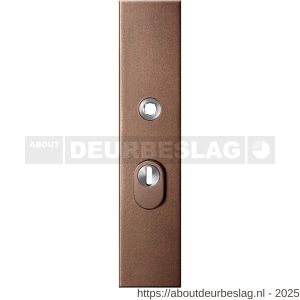 GPF Bouwbeslag Anastasius GPF9018.A2 PC55 veiligheids buitenschild gatdeel SKG*** 248x52x11 mm rechthoekig kerntrekbeveiliging PC55 massief Bronze blend - R21012851 - afbeelding 1