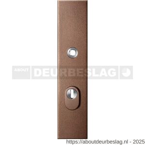 GPF Bouwbeslag Anastasius GPF9018.A2 PC72 veiligheids buitenschild gatdeel SKG*** 248x52x11 mm rechthoekig kerntrekbeveiliging PC72 massief Bronze blend - R21012852 - afbeelding 1