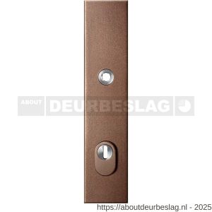 GPF Bouwbeslag Anastasius GPF9018.A2 PC92 veiligheids buitenschild gatdeel SKG*** 248x52x11 mm rechthoekig kerntrekbeveiliging PC92 massief Bronze blend - R21012853 - afbeelding 1