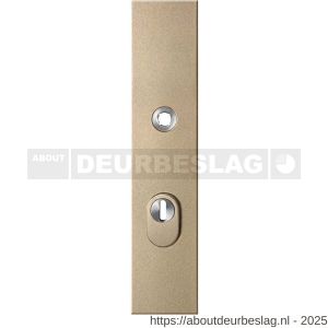 GPF Bouwbeslag Anastasius GPF9018.A4 PC72 veiligheids buitenschild gatdeel SKG*** 248x52x11 mm rechthoekig kerntrekbeveiliging PC72 massief Champagne blend - R21012858 - afbeelding 1