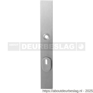 GPF Bouwbeslag RVS GPF9038.72 veiligheids buitenschild gatdeel smal SKG*** 257x35x11 mm rechthoekig kerntrekbeveiliging PC72 massief RVS geborsteld - R21004830 - afbeelding 1