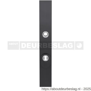 GPF Bouwbeslag PVD GPF9038.72P1 veiligheids buitenschild smal SKG*** 257x35x11 mm rechthoekig kerntrekbeveiliging PC72 massief PVD antraciet - R21005927 - afbeelding 1