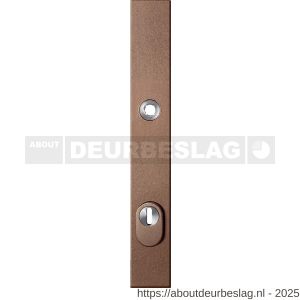 GPF Bouwbeslag Anastasius GPF9038.A2 PC92 veiligheids buitenschild smal SKG*** 257x35x11 mm rechthoekig kerntrekbeveiliging PC92 massief Bronze blend - R21013047 - afbeelding 1
