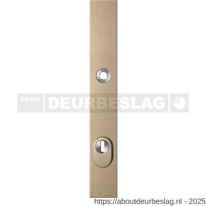 GPF Bouwbeslag Anastasius GPF9038.A4 PC92 veiligheids buitenschild smal SKG*** 257x35x11 mm rechthoekig kerntrekbeveiliging PC92 massief Champagne blend - R21013051 - afbeelding 1