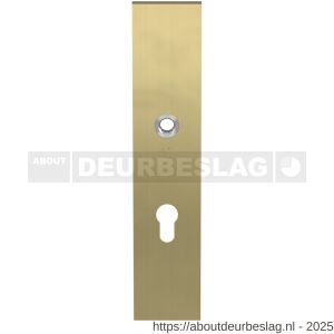 GPF Bouwbeslag PVD GPF9112.72P4 veiligheids binnenschild gatdeel SKG*** 248x52x8 mm rechthoekig PC72 PVD mat messing - R21004787 - afbeelding 1