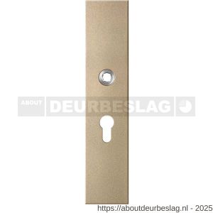 GPF Bouwbeslag Anastasius GPF9112.A4 PC55 veiligheids binnenschild gatdeel SKG*** 248x52x8 mm rechthoekig PC55 Champagne blend - R21012809 - afbeelding 1