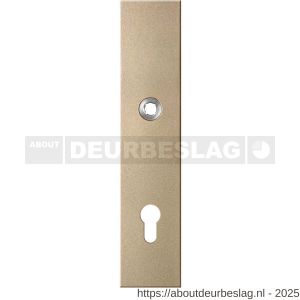 GPF Bouwbeslag Anastasius GPF9112.A4 PC92 veiligheids binnenschild gatdeel SKG*** 248x52x8 mm rechthoekig PC92 Champagne blend - R21012811 - afbeelding 1