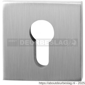 GPF Bouwbeslag RVS GPF9386.09 Outside veiligheidsbuitenrozet vierkant 54 mm SKG*** RVS geborsteld - R21012890 - afbeelding 1