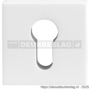GPF Bouwbeslag ZwartWit GPF9386.62 Outside veiligheidsbuitenrozet vierkant 54 mm SKG*** wit - R21012905 - afbeelding 1