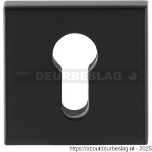 GPF Bouwbeslag Smeedijzer GPF9386.64 Outside veiligheidsbuitenrozet vierkant 54 mm SKG*** smeedijzer zwart - R21012911 - afbeelding 1