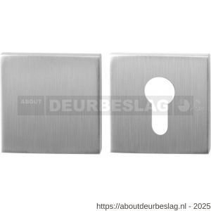GPF Bouwbeslag RVS GPF9388.09 Set veiligheidsrozet vierkant 54 mm SKG*** buiten blind RVS geborsteld - R21012894 - afbeelding 1